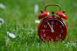 A red alarm clock in a field with green grass and daisies. Intended to reflect time management training for lawyers, solicitors, and legal executives.