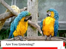 Two parrots on a branch looking at each other as if they were having a conversation with the title Are You Listening?