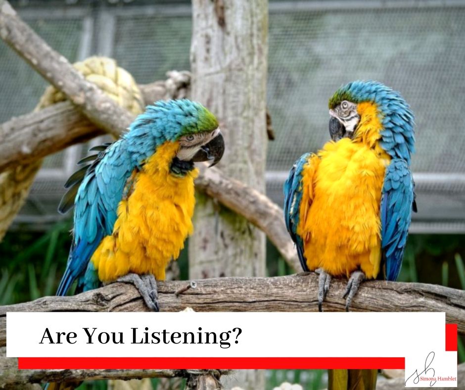 Two parrots on a branch looking at each other as if they were having a conversation with the title Are You Listening?