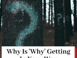 Trees in a wood with question marks on them and the title Why Is Why Getting In Your Way