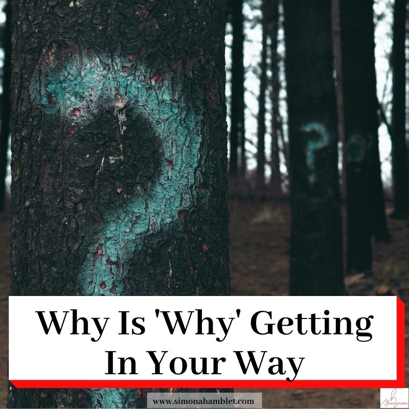 Trees in a wood with question marks on them and the title Why Is Why Getting In Your Way