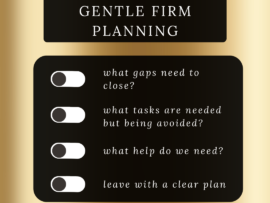 Gentle Business Planning for Law Firm Owners